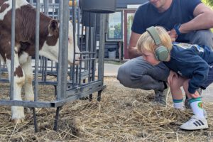 Lees meer over het artikel Boerderijcamping De Rodenburghoeve