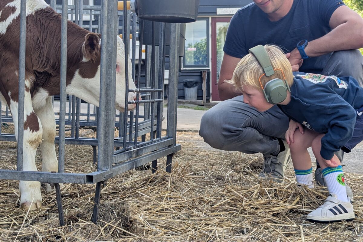 Lees meer over het artikel Boerderijcamping De Rodenburghoeve